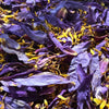 Blue Lotus tea (petals)