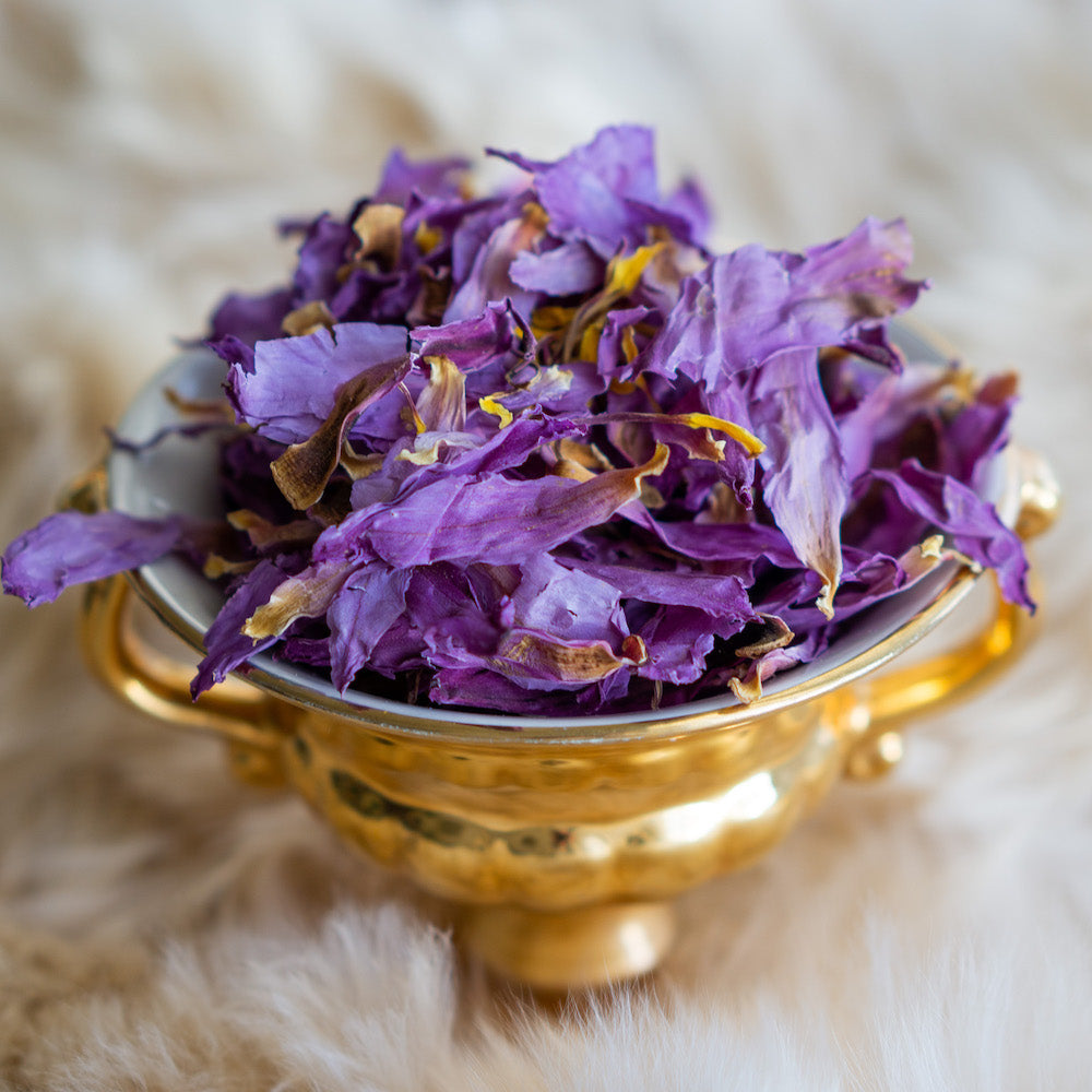 Blue Lotus tea (petals)
