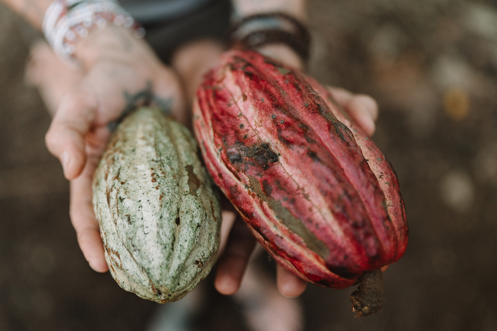 Ceremonial Cacao | Guatemala